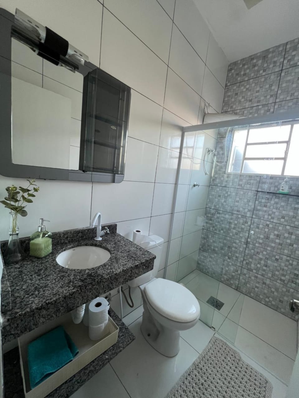 Shower, Toilet, towels