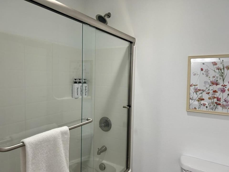 Bellaire in Bellingham House in Bellingham