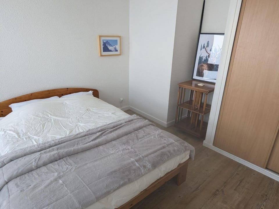 Appartement cosy 2 pièces, 4 pers, pied des pistes - FR-1-557-140 Apartment in Auvergne-Rhône-Alpes