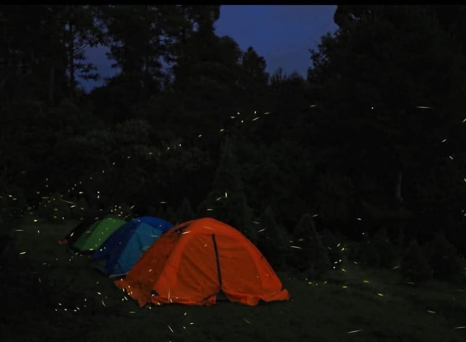 Cámping Cuamanco Luxury tent in State of Puebla