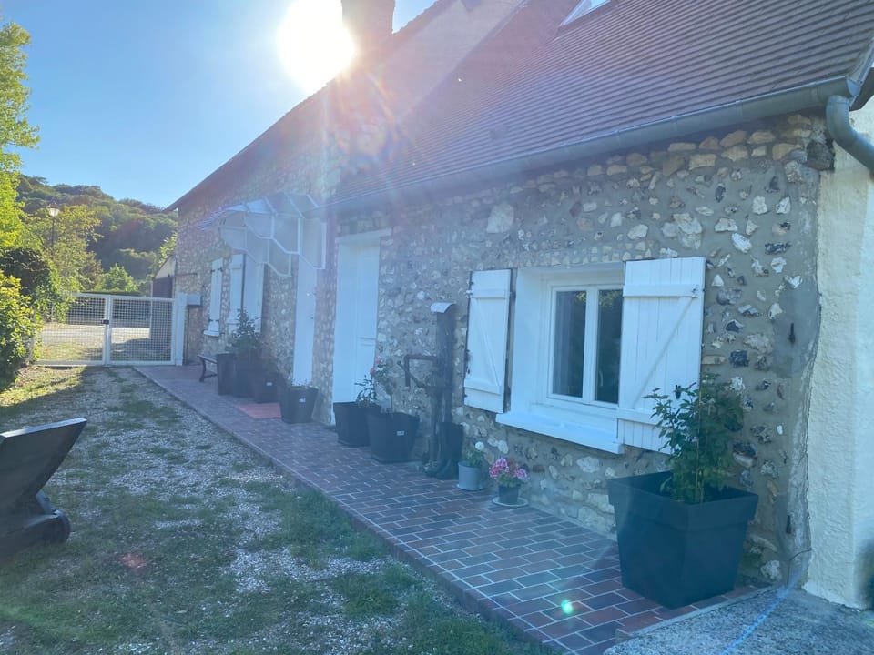 Day, Garden view