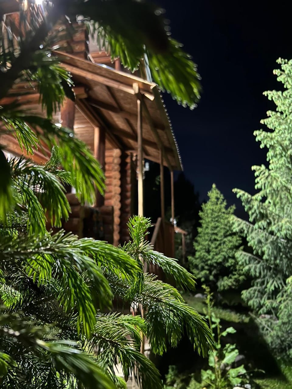 Ene sai House in Almaty Region, Kazakhstan