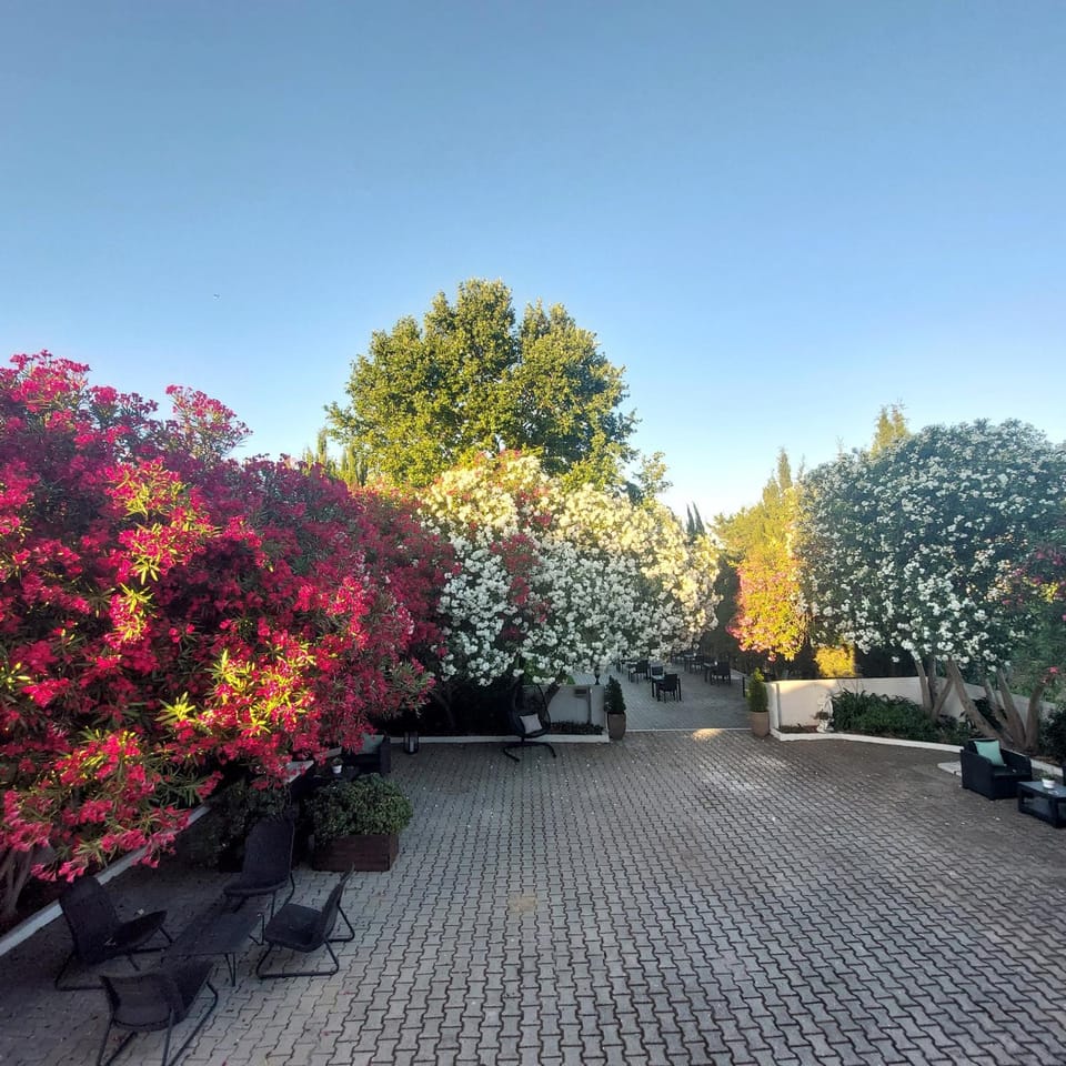 Property building, Spring, Day, Garden
