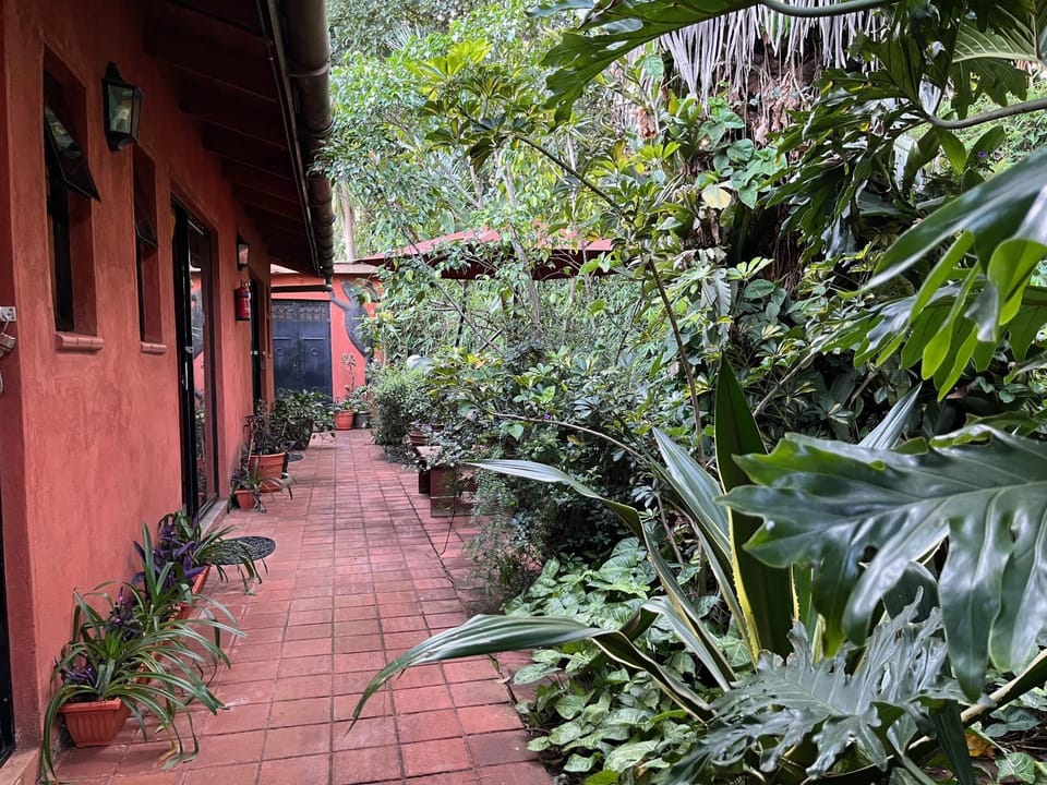 Property building, Garden view, Inner courtyard view