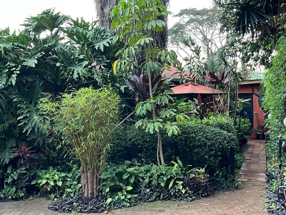 View (from property/room), Garden view, Inner courtyard view