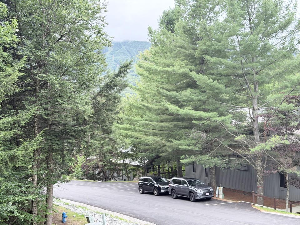 Property building, Facade/entrance, Natural landscape, Mountain view, Parking