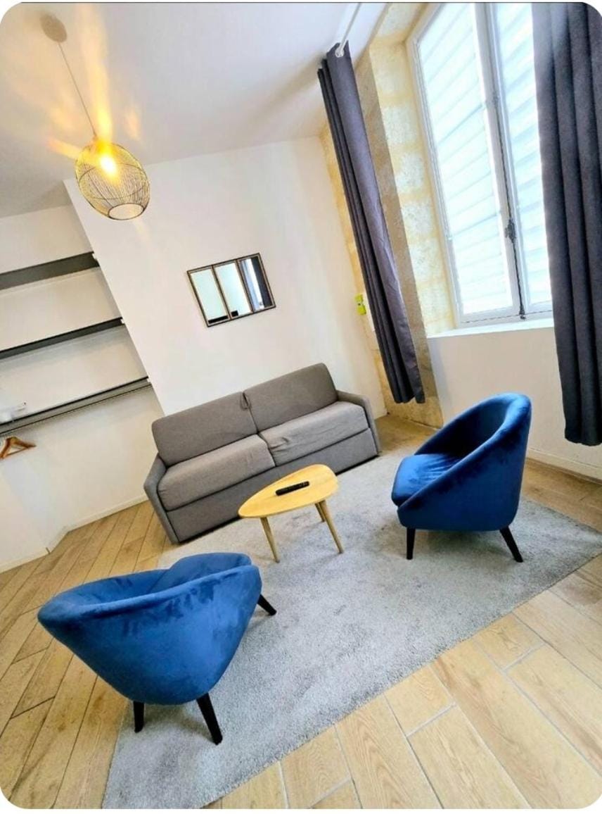 Joli appartement au coeur de Bordeaux Apartment in Bordeaux