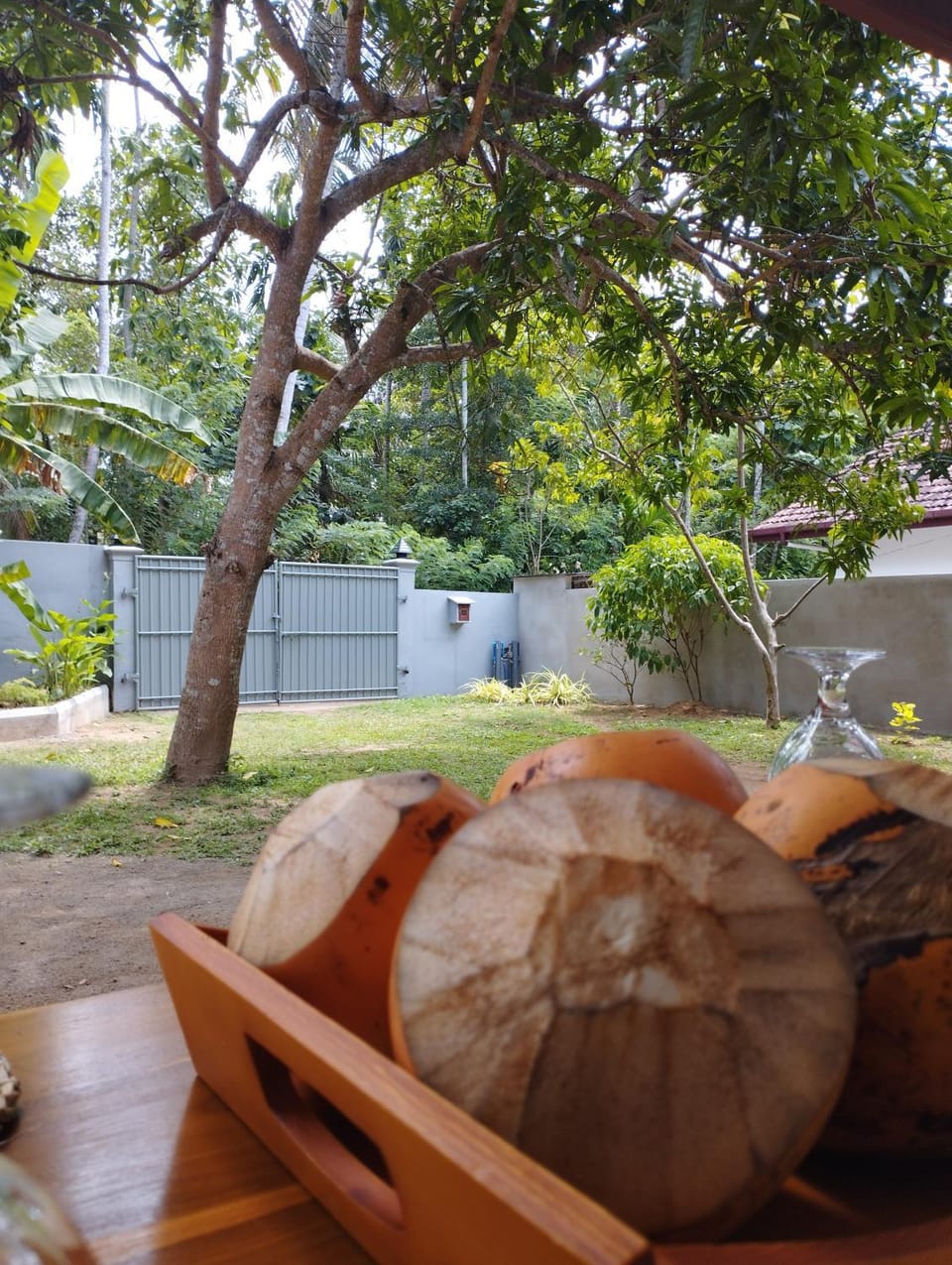 Garden view