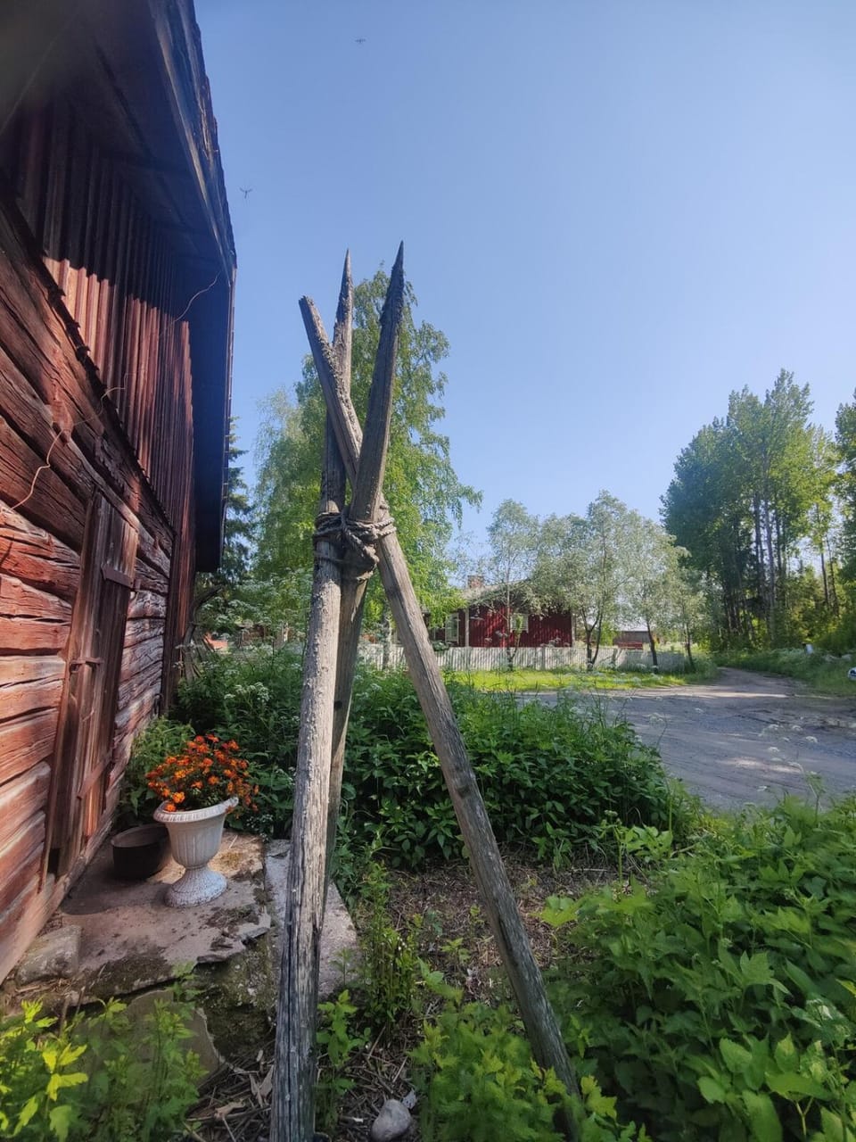 Garden view
