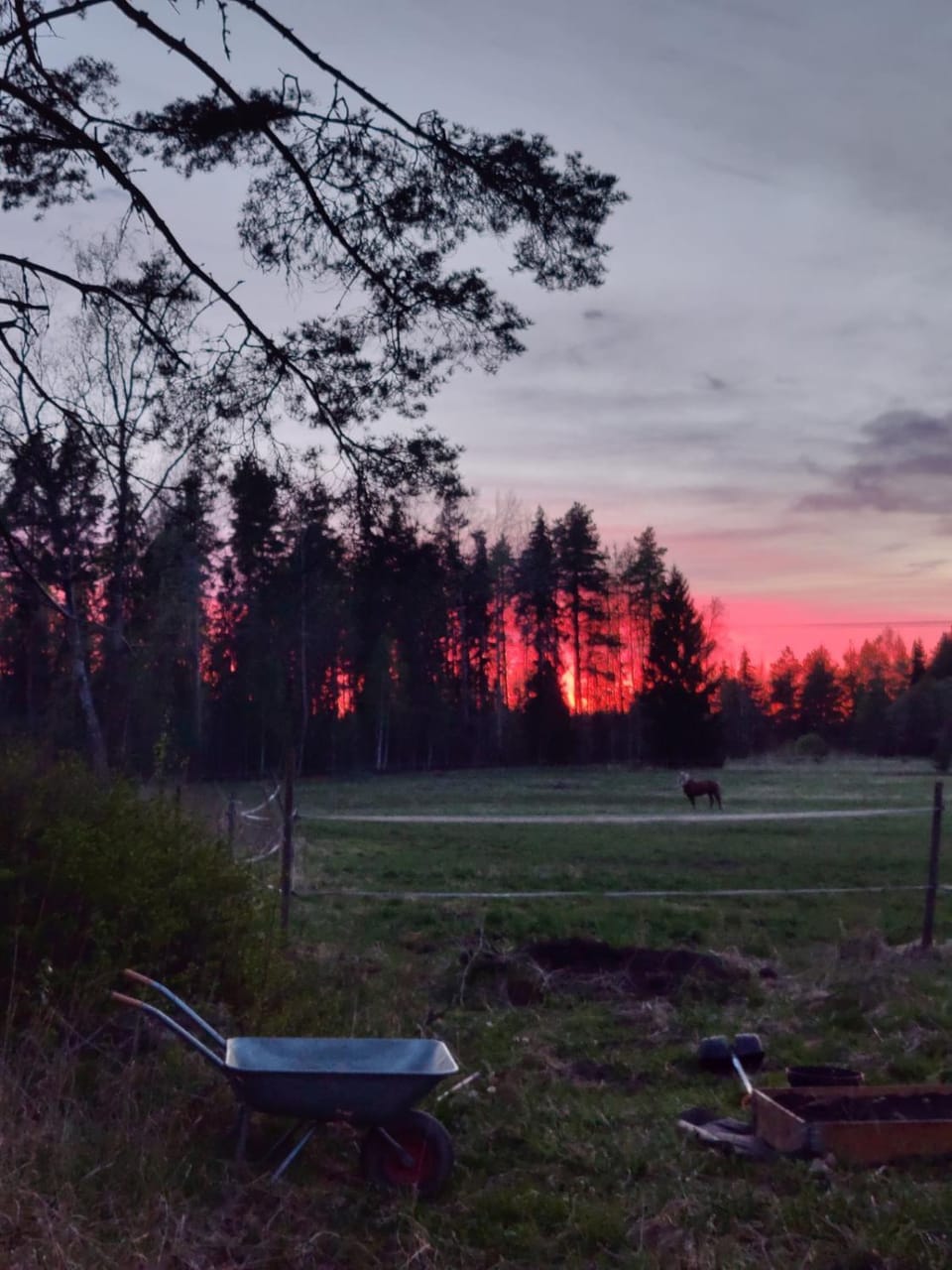 Koivistonpiha farmstay Apartment in Finland