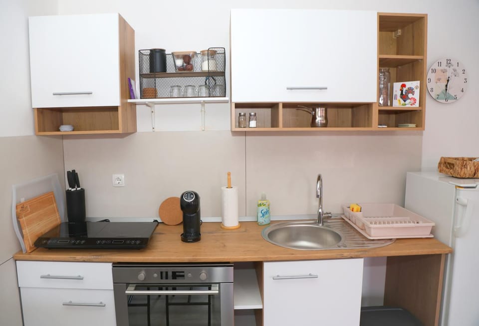 Villa Volk Apartment in Slovenia