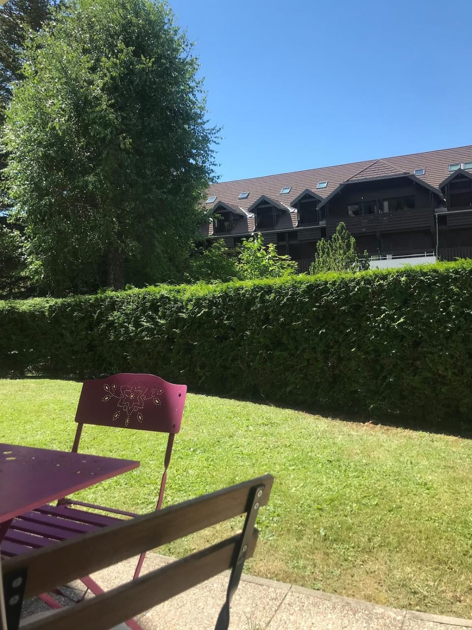 Garden view