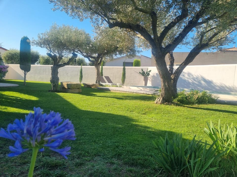 Garden view