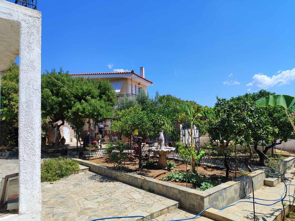 Property building, Day, Garden, Garden view