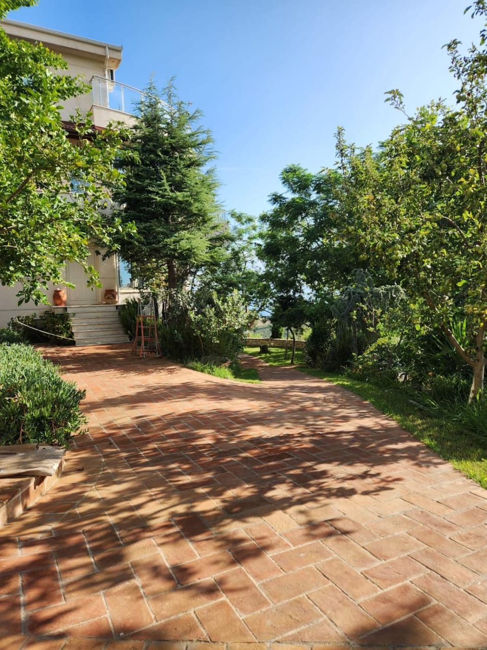 Garden view