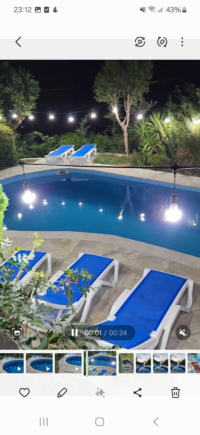 Pool view, Swimming pool, sunbed