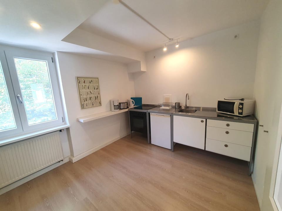 Kitchen or kitchenette, kitchen