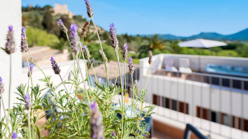 Charming 3 Bedroom Townhome in Artà, 1456 Apartment in Llevant