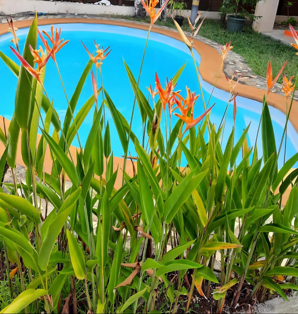 Villa Pacifique, maison spacieuse meublée, logement entier,piscine privee House in Flacq District, Mauritius