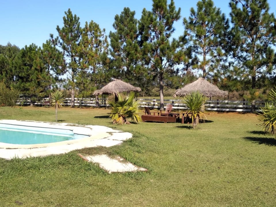 Garden, Swimming pool