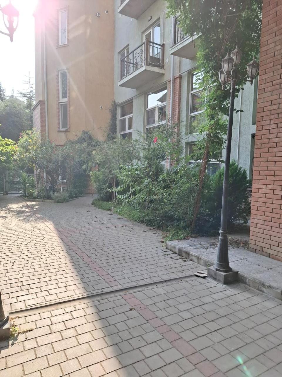 Property building, Spring, Day, Neighbourhood, Garden, Garden view, Street view