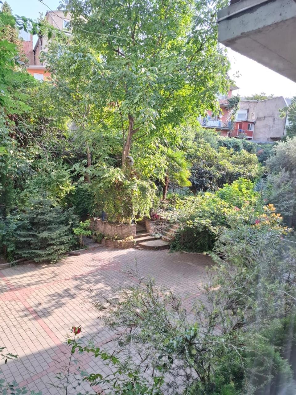 Spring, Day, Natural landscape, Garden, Garden view