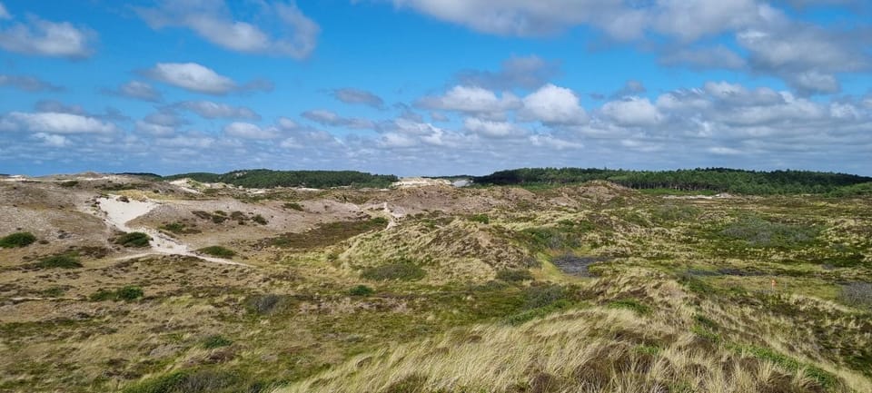 Nearby landmark, Natural landscape, Bird's eye view