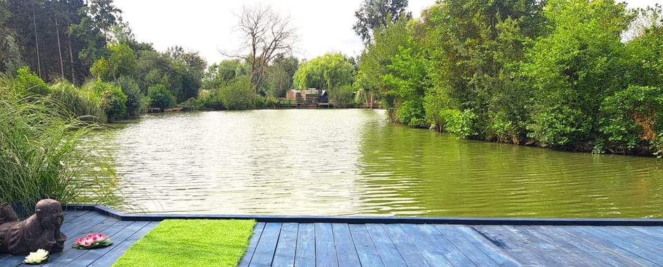 Lake view