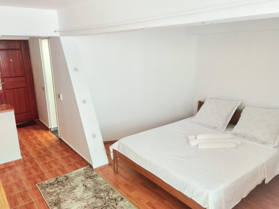 Garsonieră central Tg Jiu Apartment in Romania