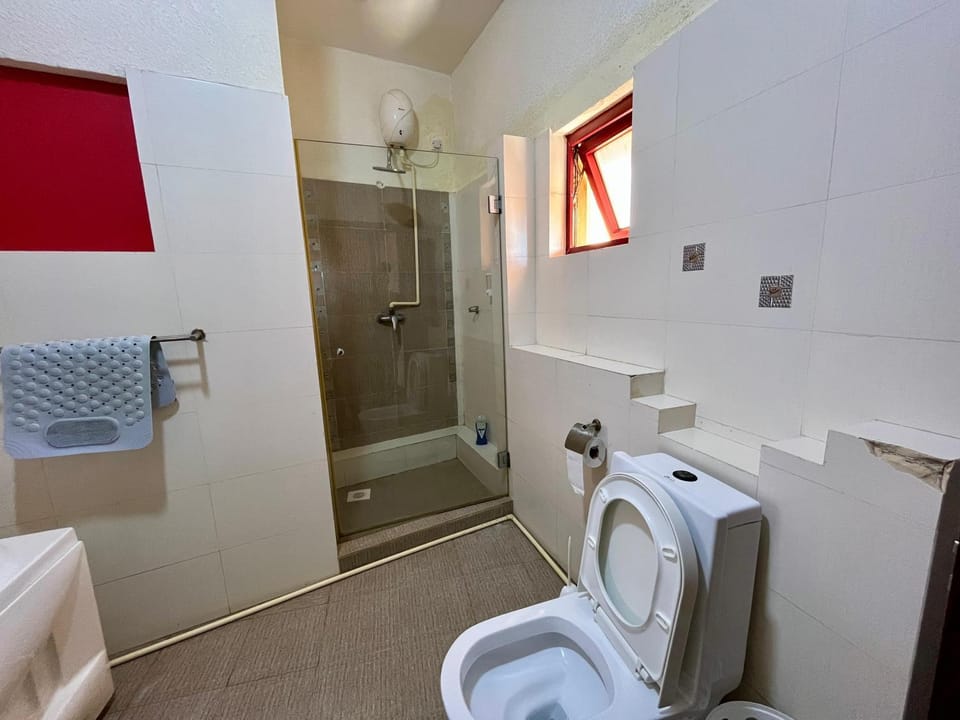 Shower, Toilet, Bathroom, bidet