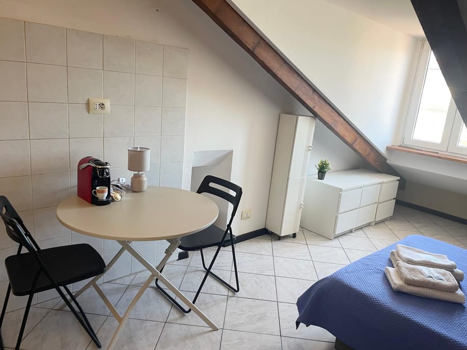 Mansarda N12 Galliari Apartment in Turin