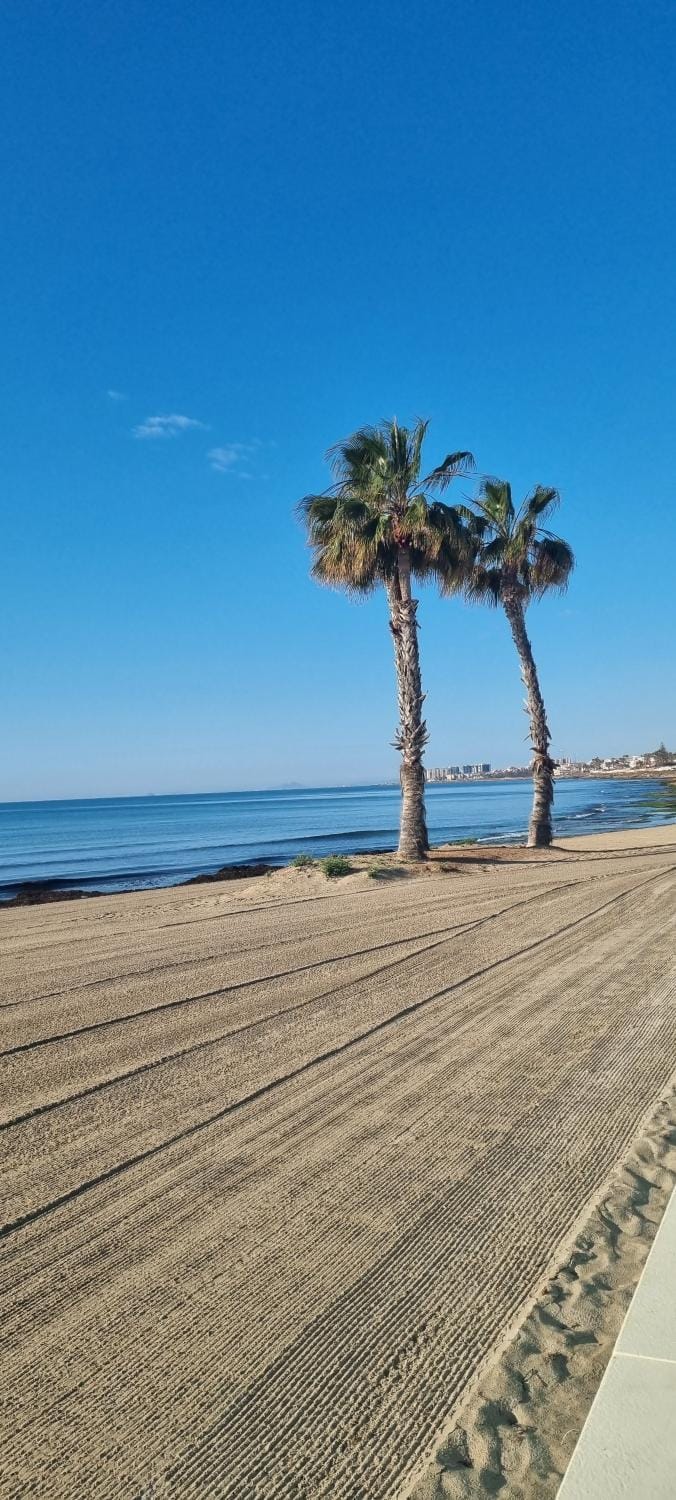 Apartament Olimpia Apartment in Torrevieja