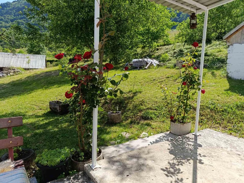 Pivska kuca House in Montenegro