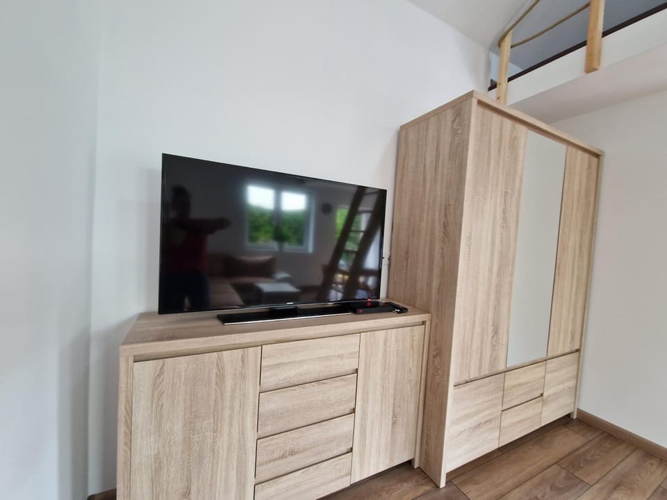 TV and multimedia