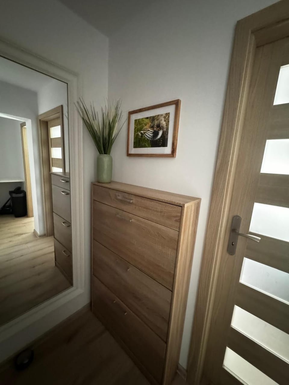 Apartament Ustay Rownica Apartment in Czechia