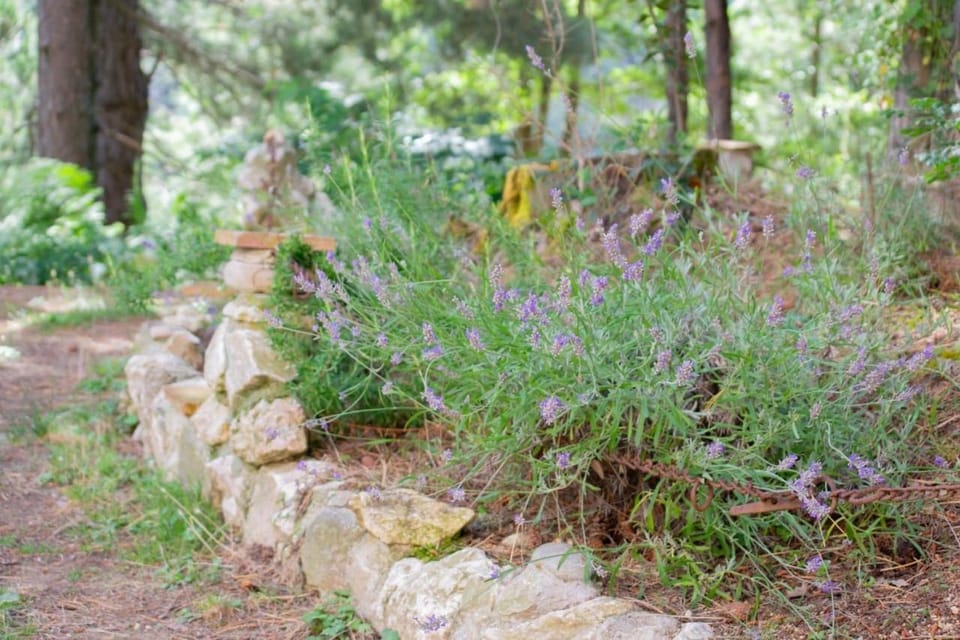 B&B Nonna Iolanda Bed and Breakfast in Calabria