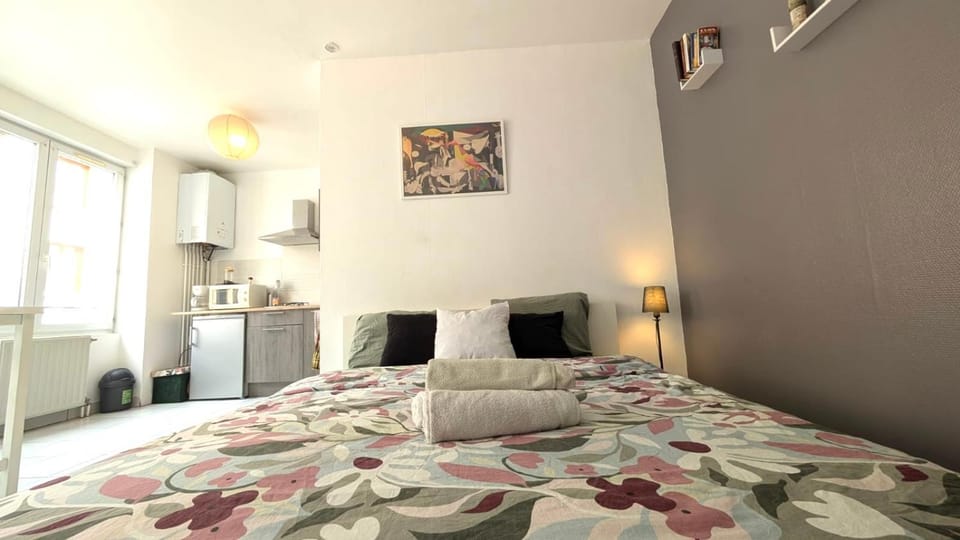 Great apartment avec stationnement Apartment in Saint-Étienne