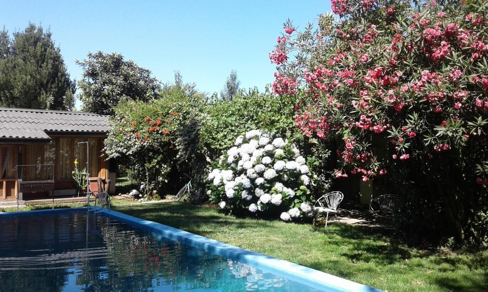 Bird's eye view, Swimming pool