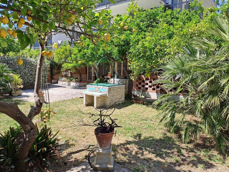 Garden, Garden view