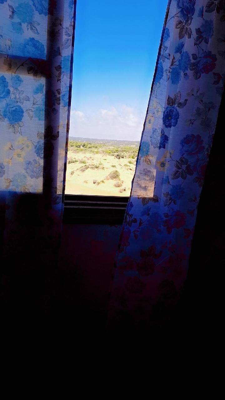 Day