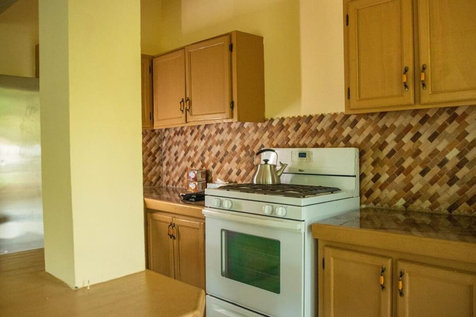 Kitchen or kitchenette, oven, stove