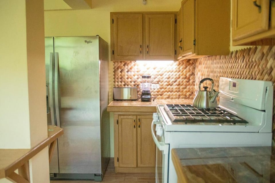 Kitchen or kitchenette, oven, stove