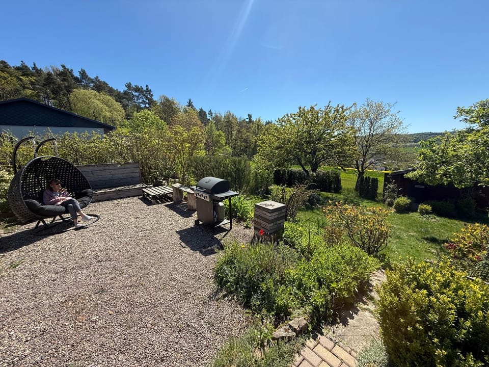 Spring, Natural landscape, Garden, Garden view