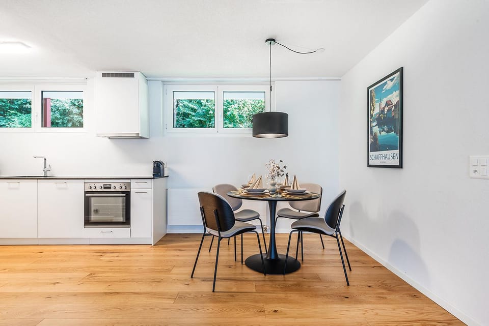 CITY-LOFT 1 !Gratis parken, Free parking! Apartment in Schaffhausen