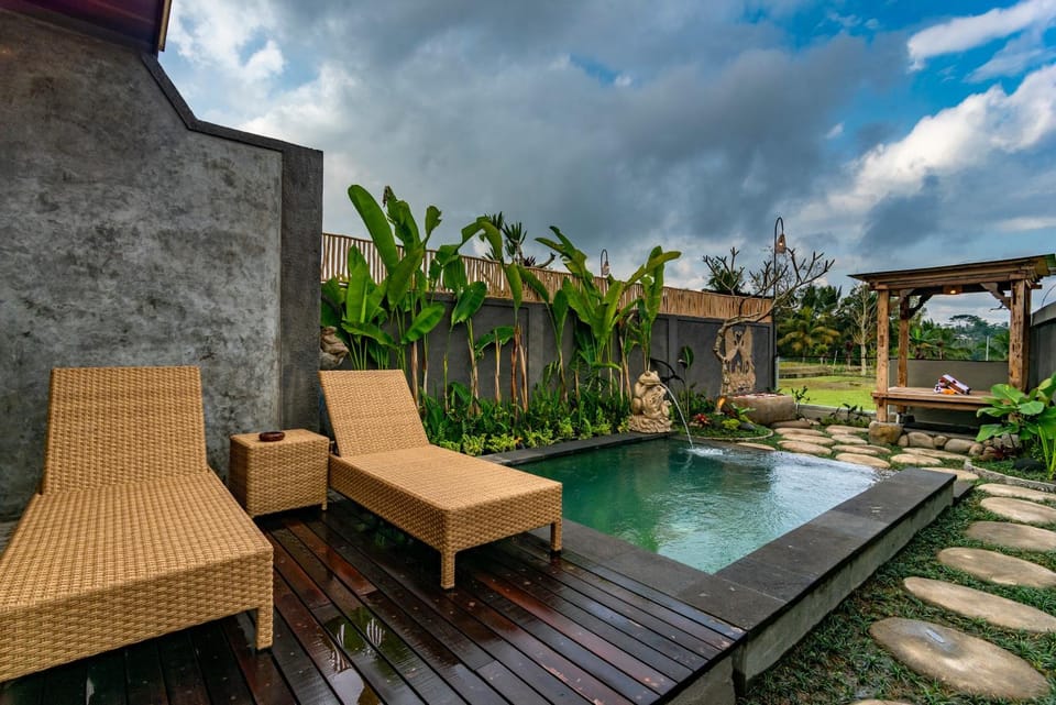 Pool view, Swimming pool