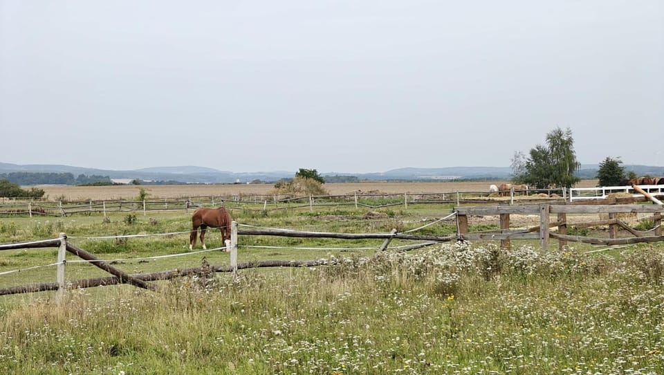 Agroturystyka - Pasieka Miody Gór Opawskich Farm Stay in Poland
