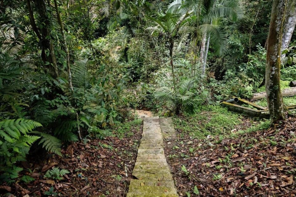 Natural landscape