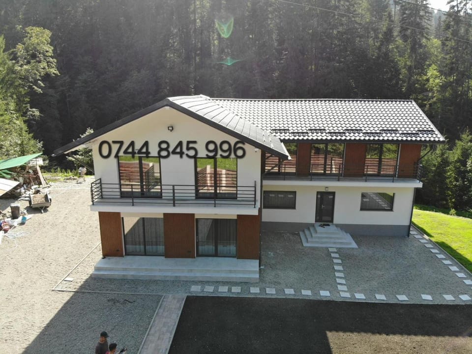 Vila veverita Villa in Romania
