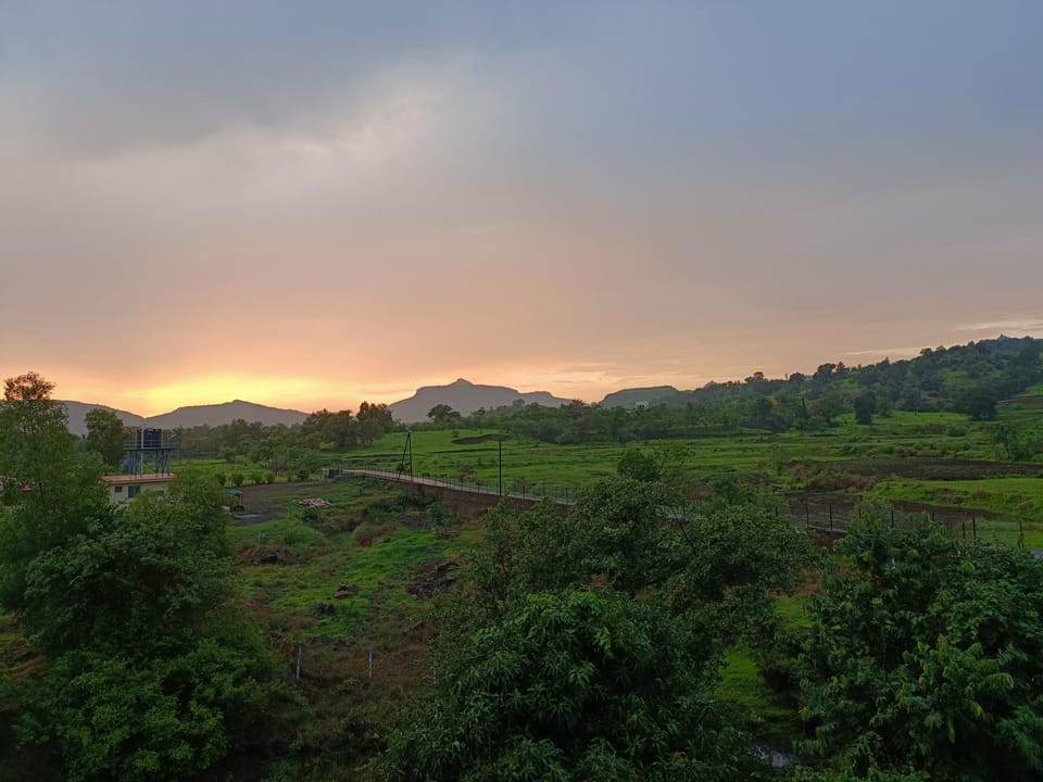 View (from property/room)