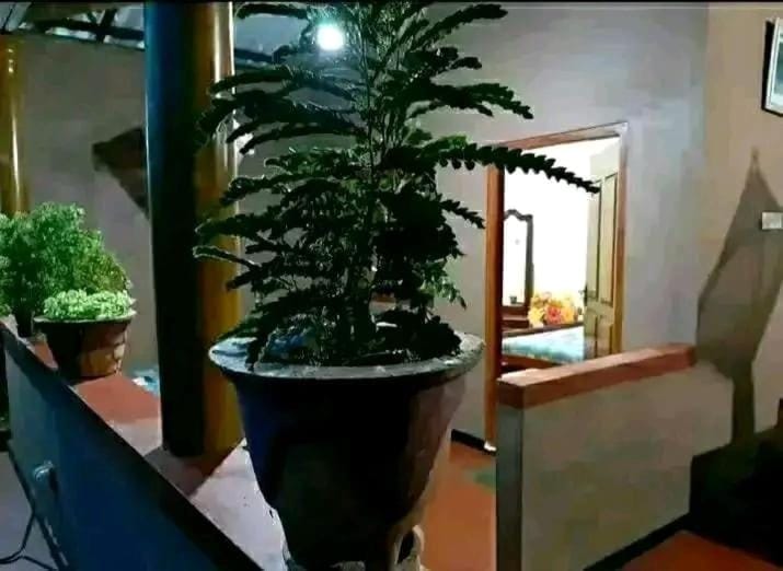 SOCUND HoME GEST HOWSE Villa in Southern Province
